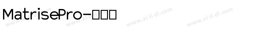 Matrise Pro字体转换